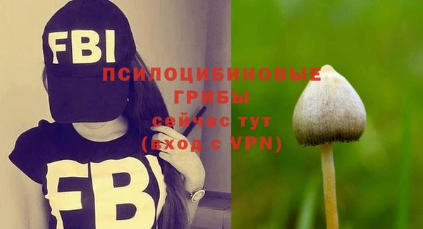 дмт Медногорск