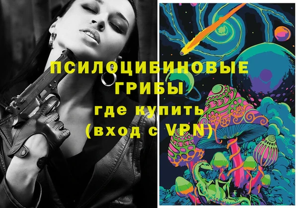 прущие крисы Абаза